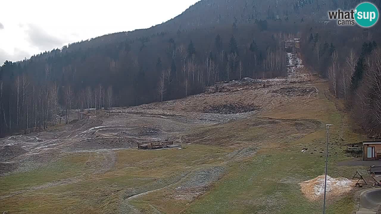 Spletna kamera Kočevje – MTB trail center v živo