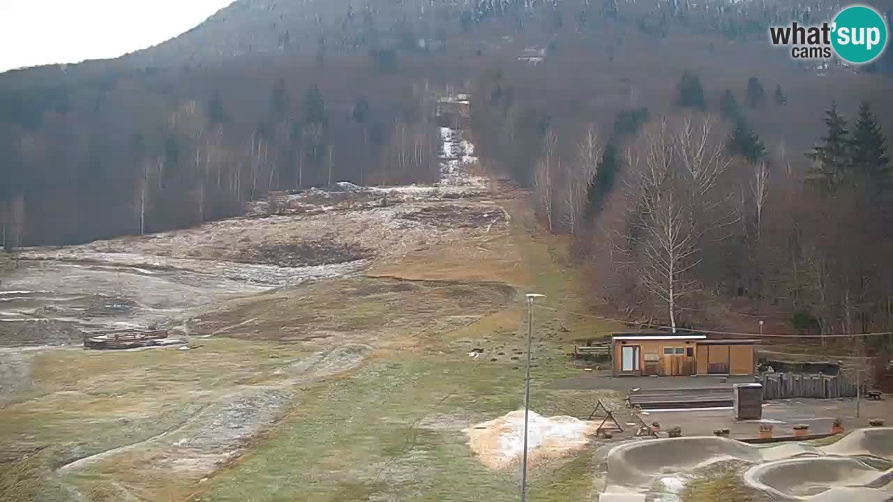 Kočevje Live webcam – MTB trail center – Slowenien