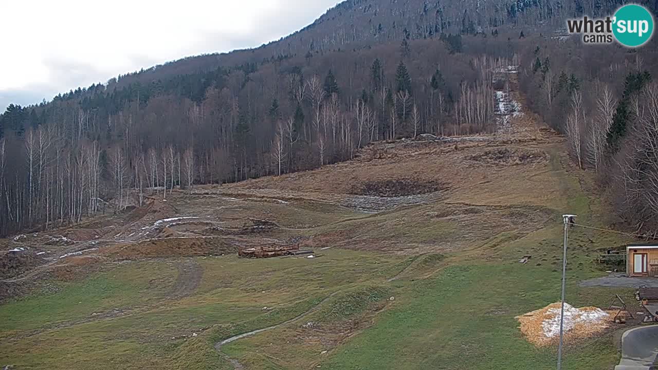 Spletna kamera Kočevje – MTB trail center v živo