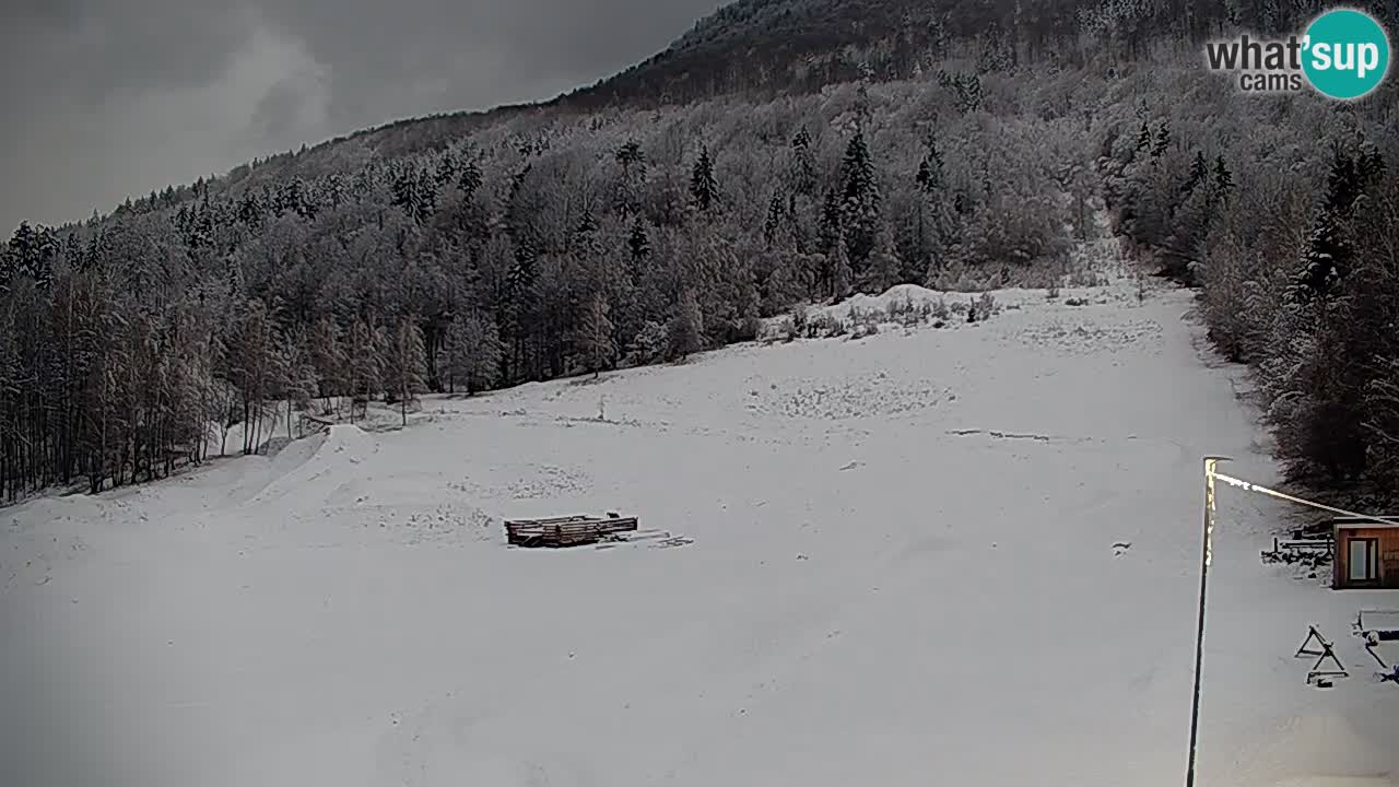 Live webcam Kočevje – MTB trail center – Slovenia