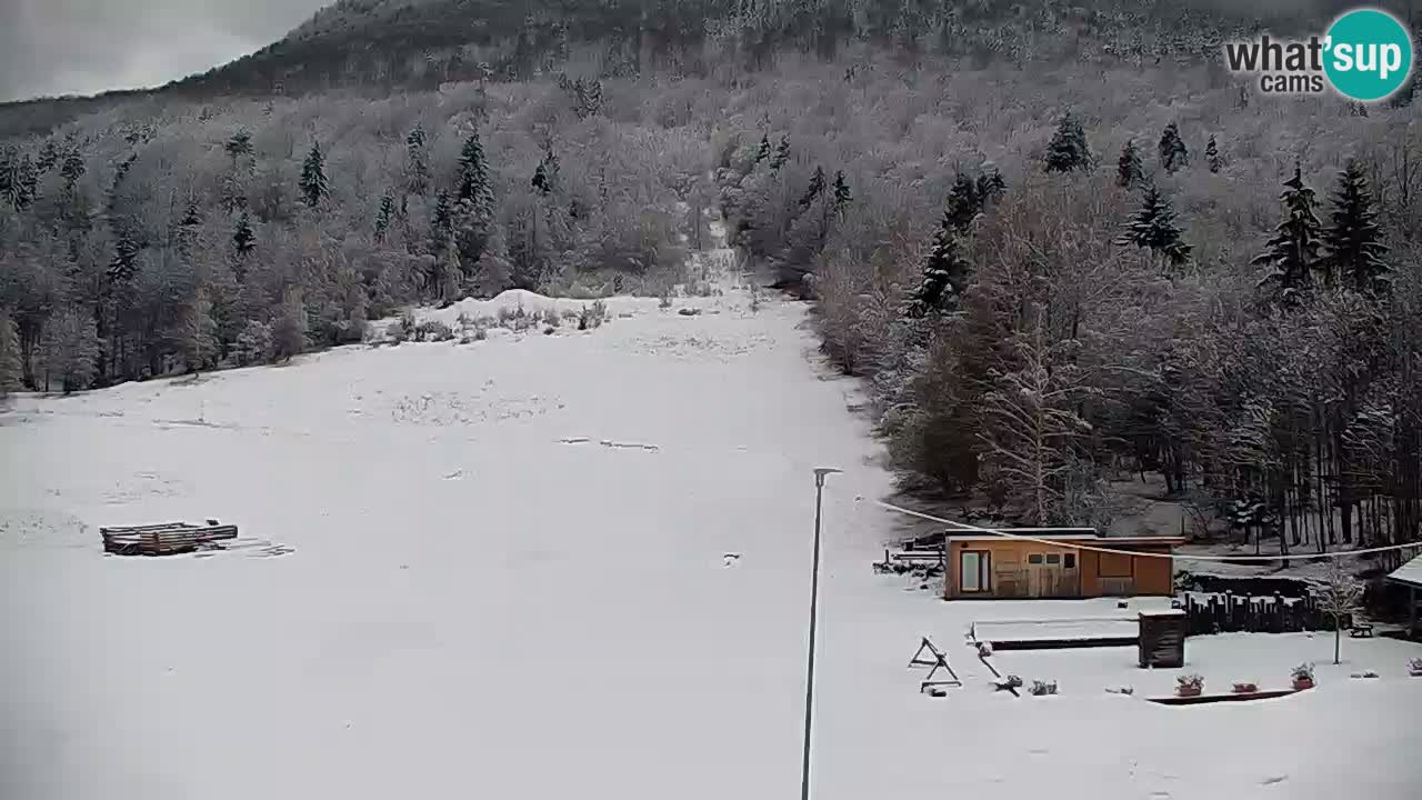 Webcam Kočevje – centro allenamento e svago MTB trail center – Slovenia