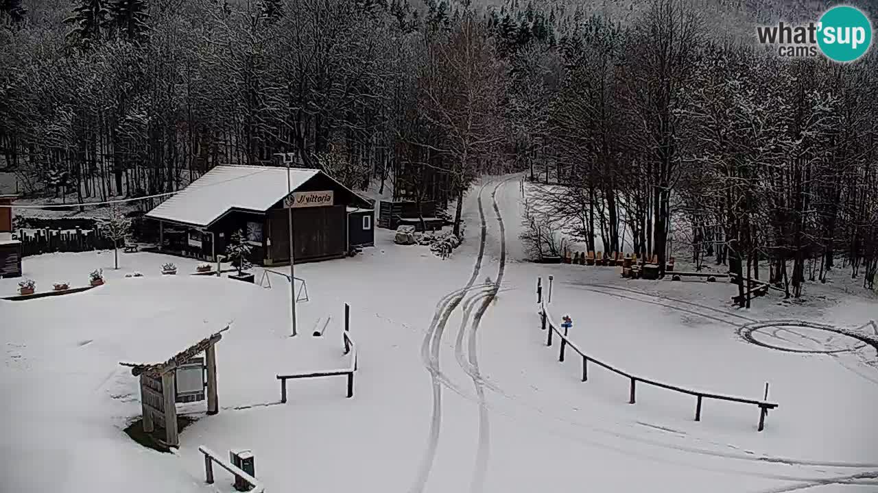 Webcam Kočevje – centro allenamento e svago MTB trail center – Slovenia