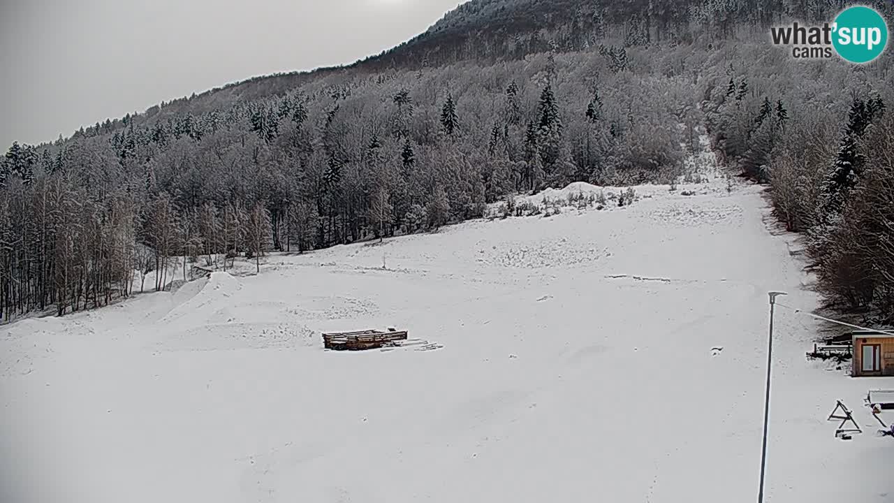 Kočevje Live webcam – MTB trail center – Slowenien