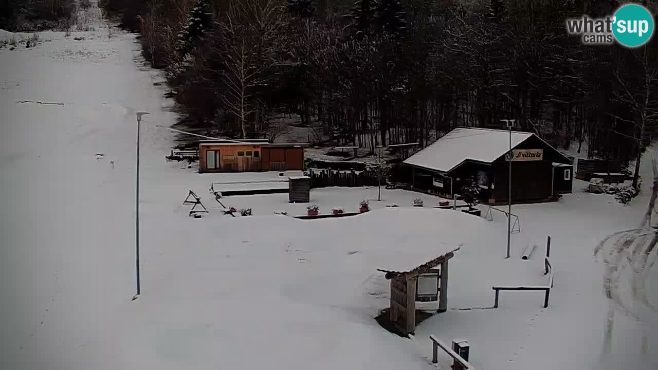 Live webcam Kočevje – MTB trail center – Slovenia