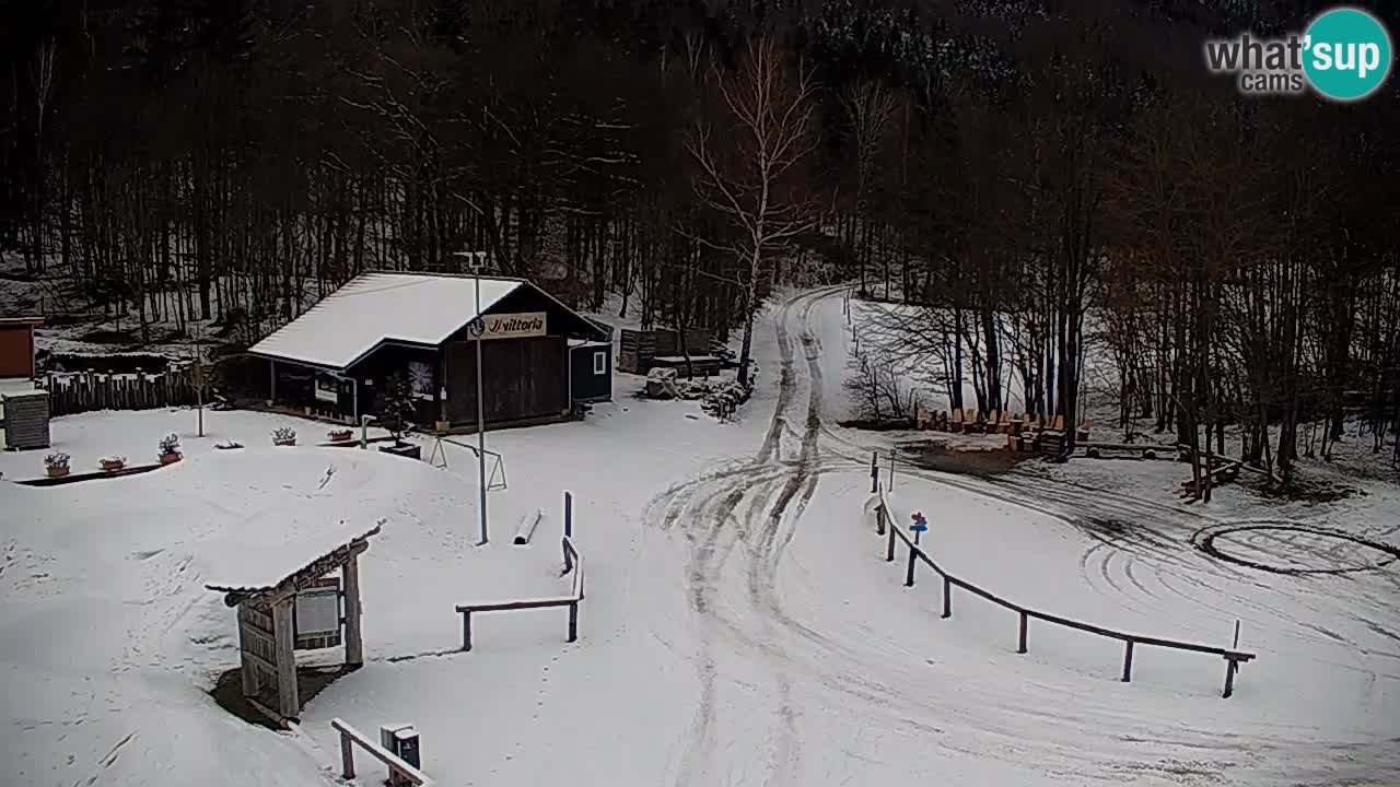 Webcam Kočevje – centro allenamento e svago MTB trail center – Slovenia