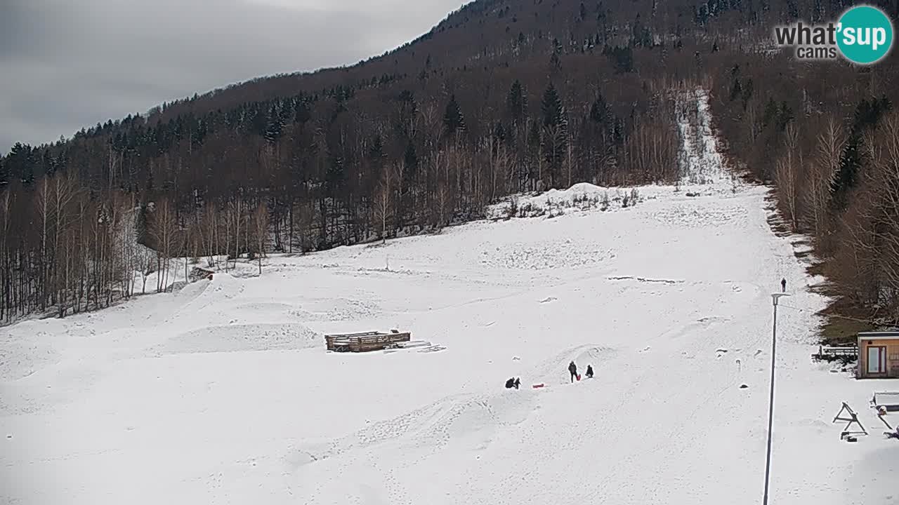 Webcam Kočevje – centro allenamento e svago MTB trail center – Slovenia