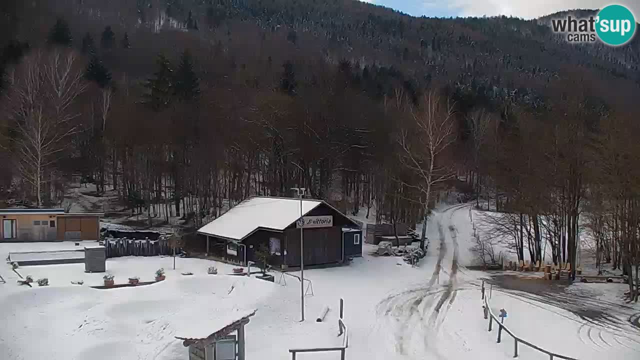 Webcam Kočevje – centro allenamento e svago MTB trail center – Slovenia