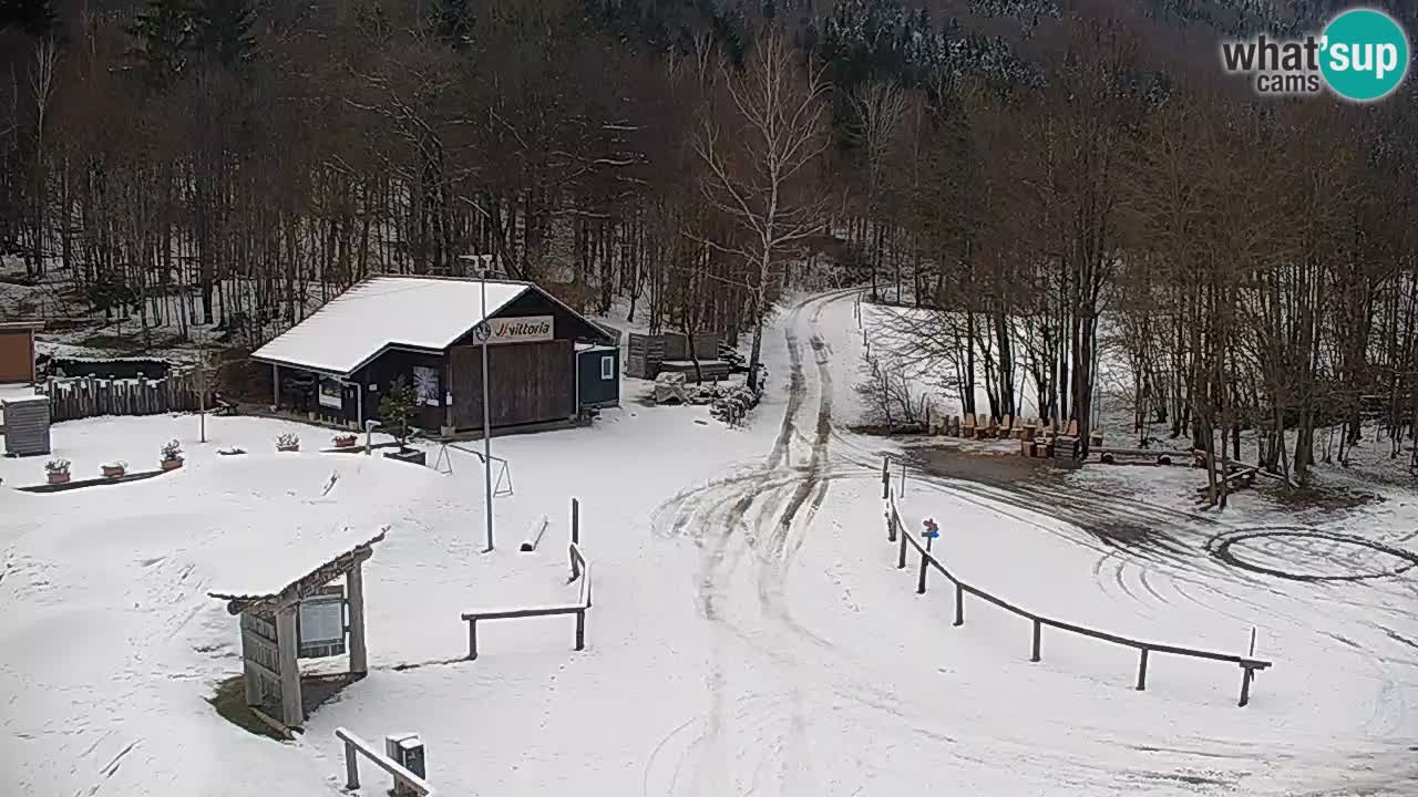 Webcam Kočevje – centro allenamento e svago MTB trail center – Slovenia