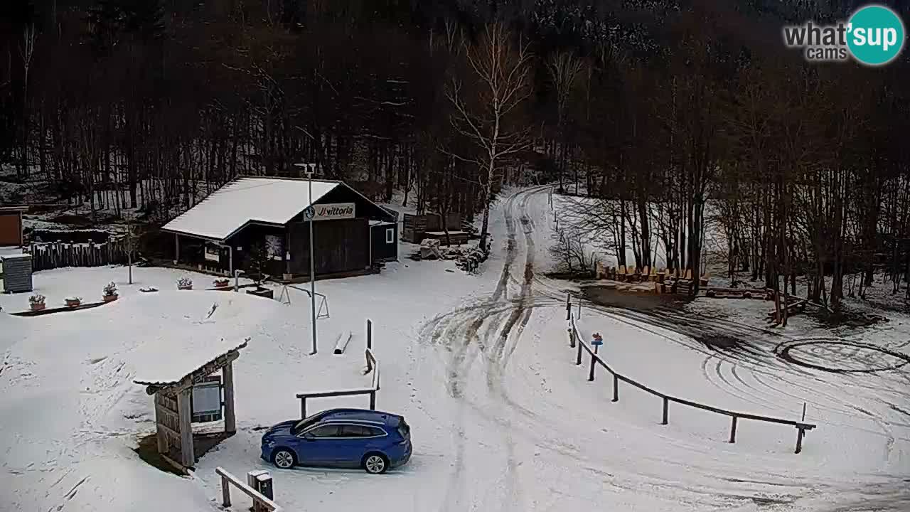 Webcam Kočevje – centro allenamento e svago MTB trail center – Slovenia