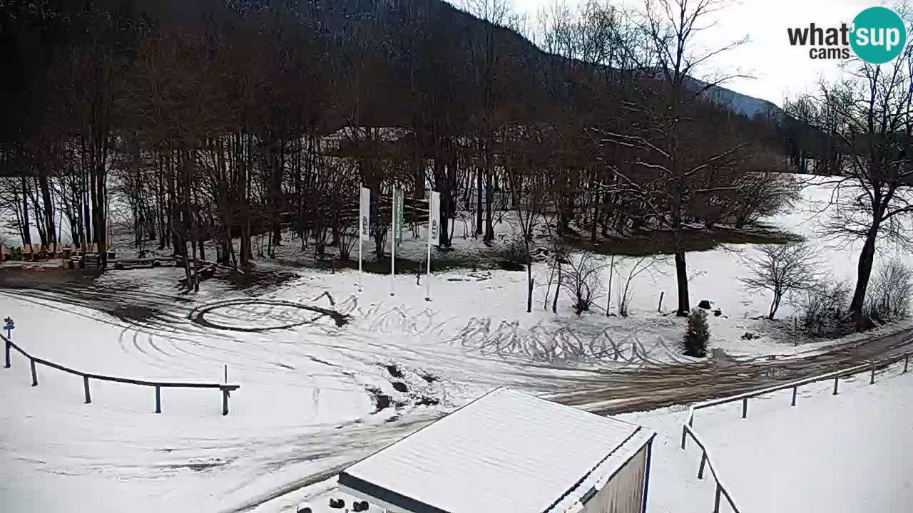 Webcam Kočevje – centro allenamento e svago MTB trail center – Slovenia