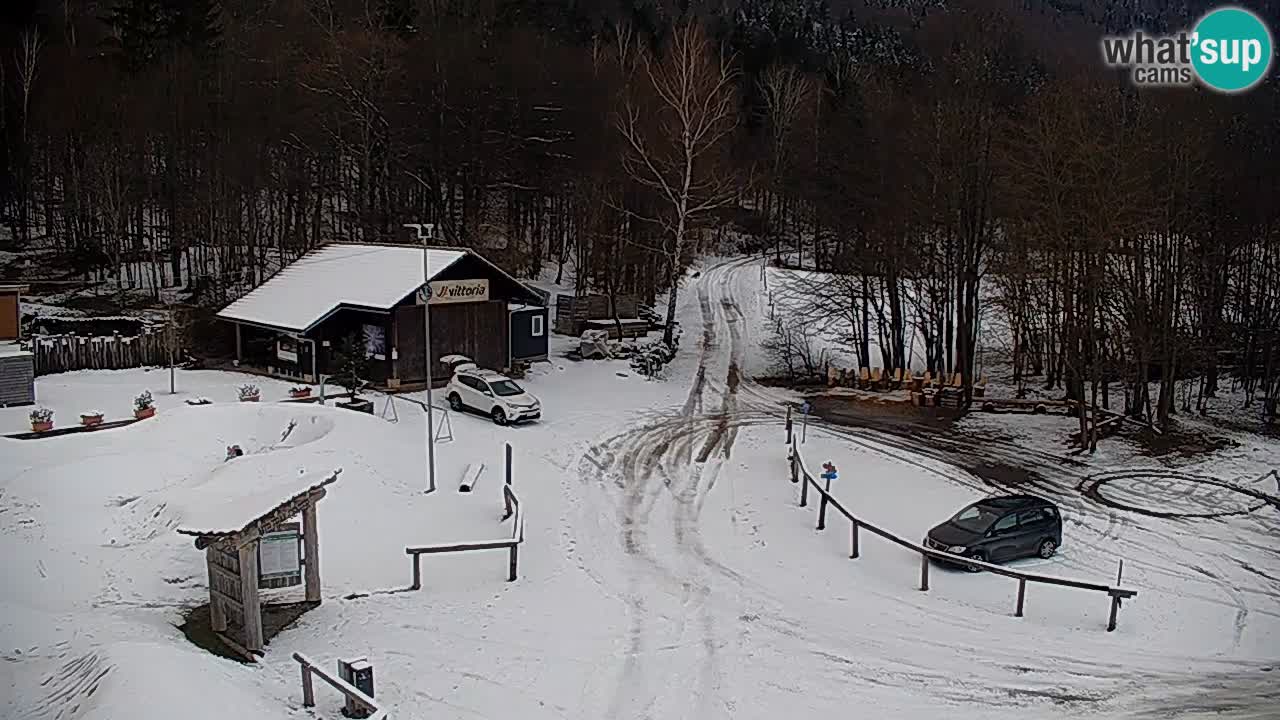 Kočevje Live webcam – MTB trail center – Slowenien