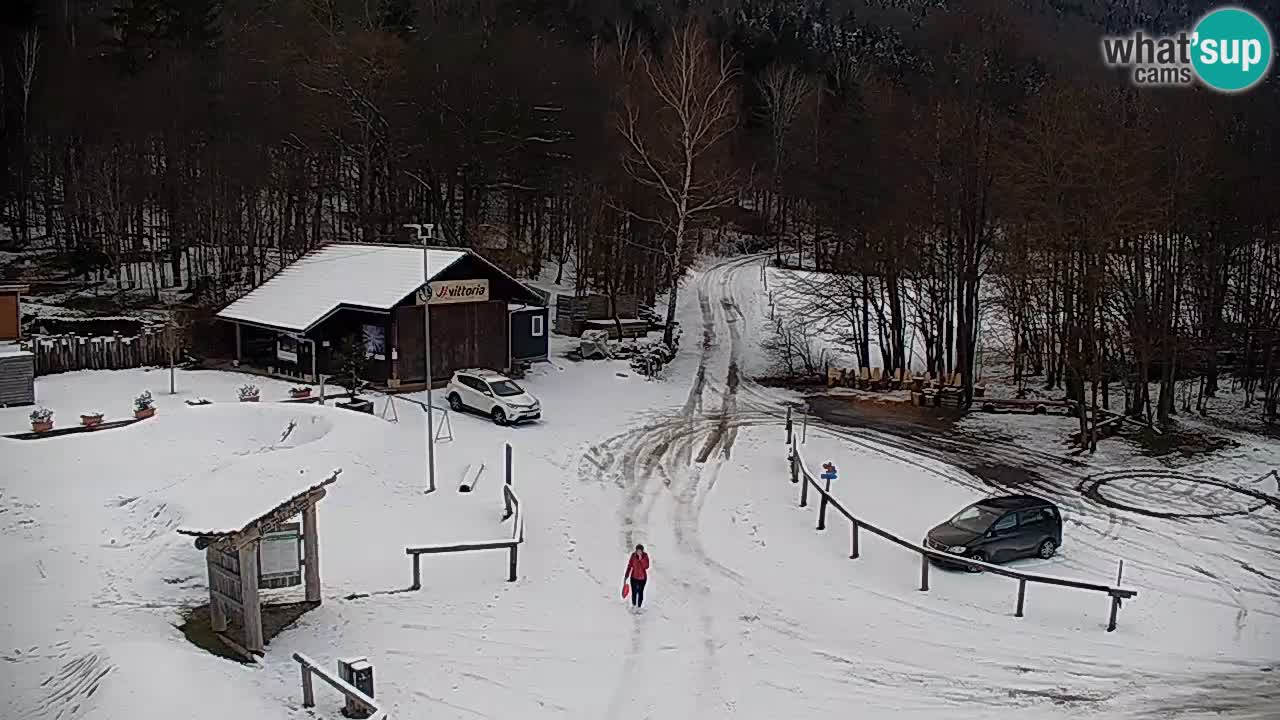 Web kamera Kočevje – MTB trail center – Slovenija