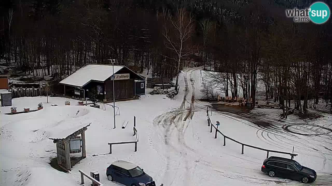 Web kamera Kočevje – MTB trail center – Slovenija