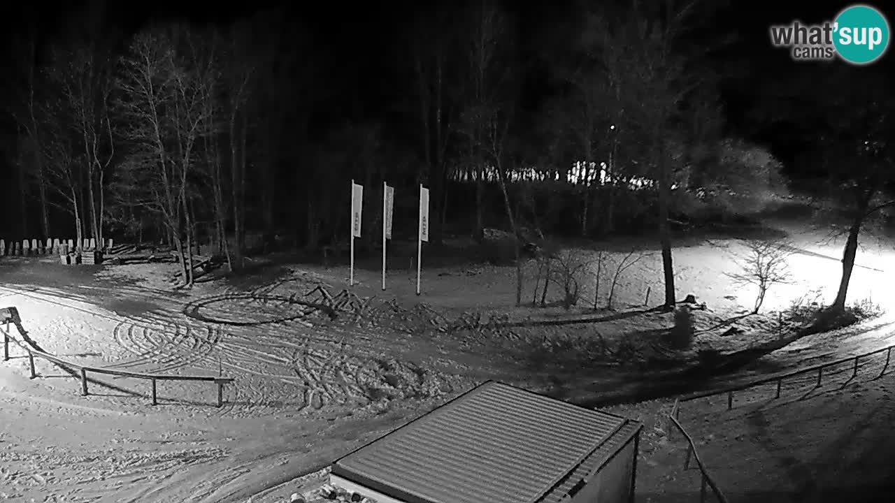 Webcam Kočevje – centro allenamento e svago MTB trail center – Slovenia