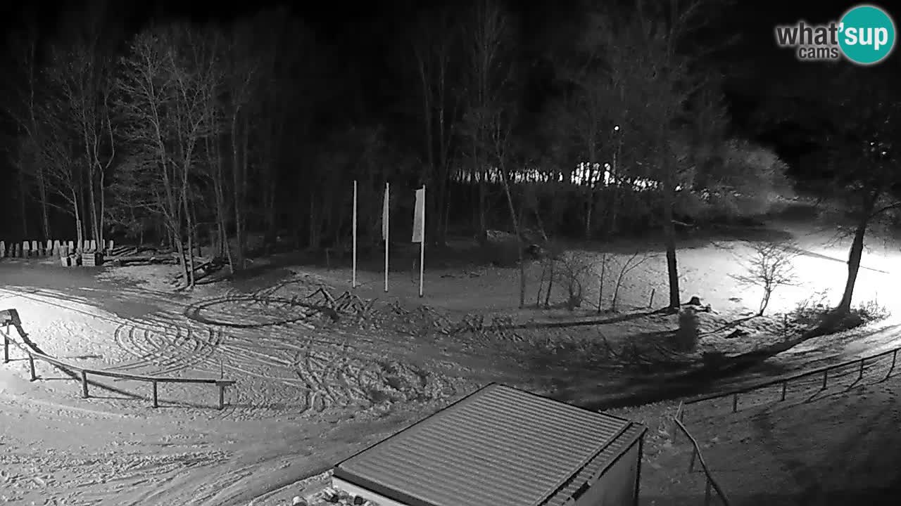 Live webcam Kočevje – MTB trail center – Slovenia