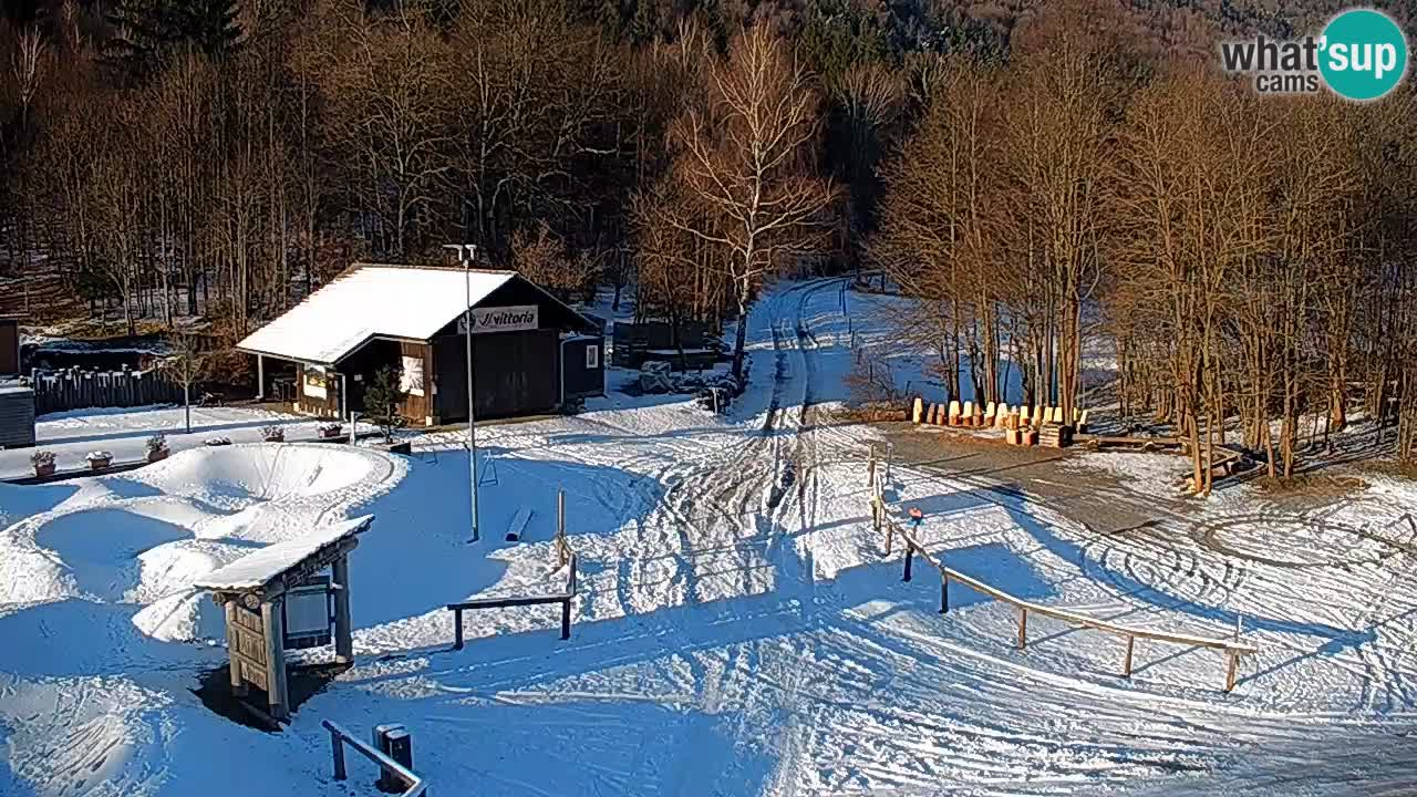 Kočevje Live webcam – MTB trail center – Slowenien