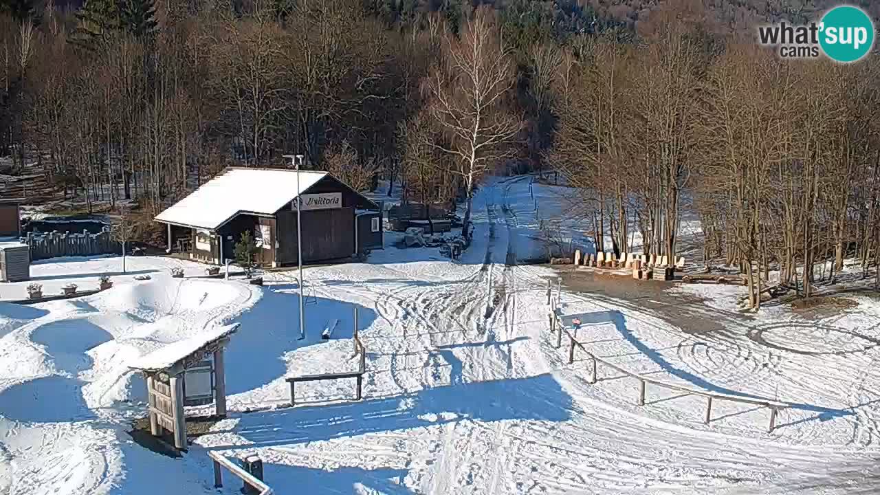 Live webcam Kočevje – MTB trail center – Slovenia