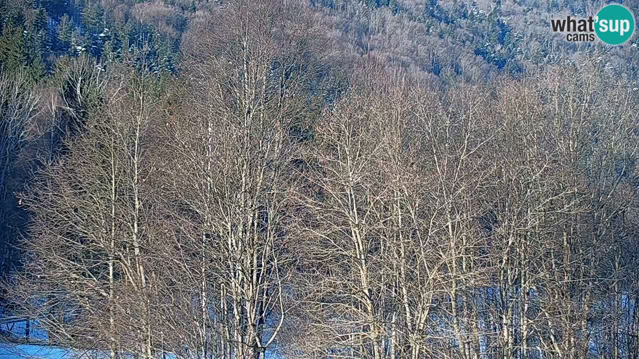 Webcam en direct Kočevje – Centre de trail VTT – Slovénie