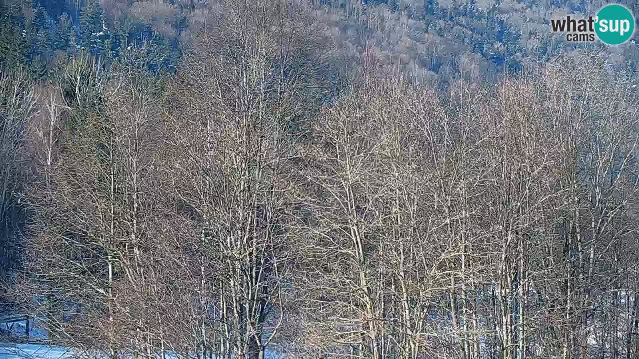 Web kamera Kočevje – MTB trail center – Slovenija