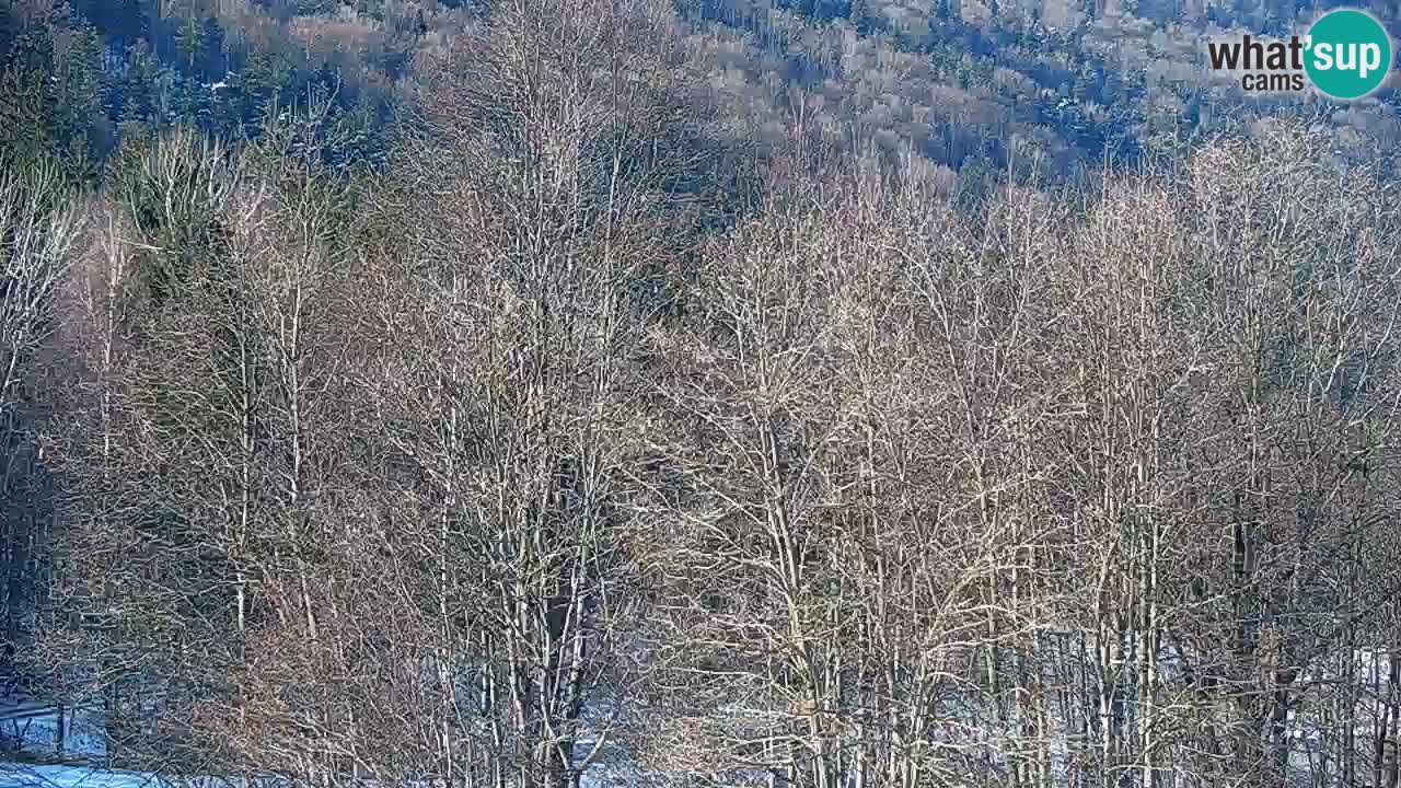 Webcam en direct Kočevje – Centre de trail VTT – Slovénie