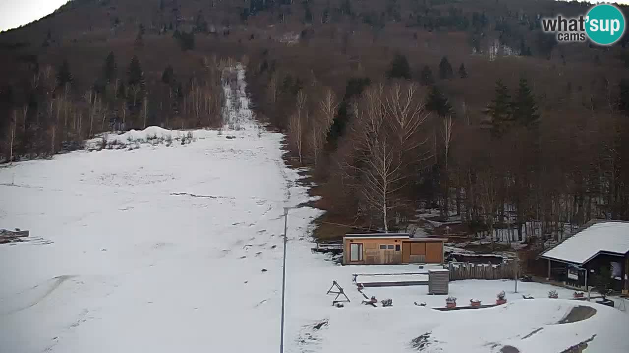 Live webcam Kočevje – MTB trail center – Slovenia