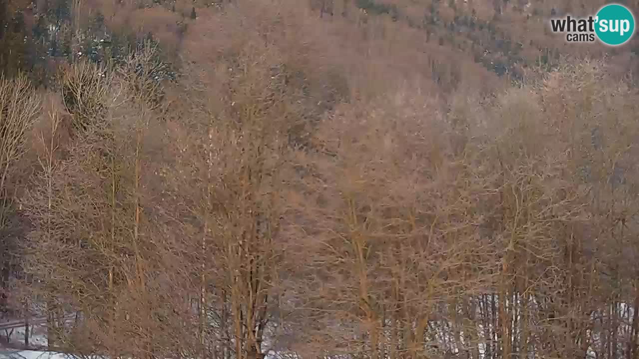 Live webcam Kočevje – MTB trail center – Slovenia