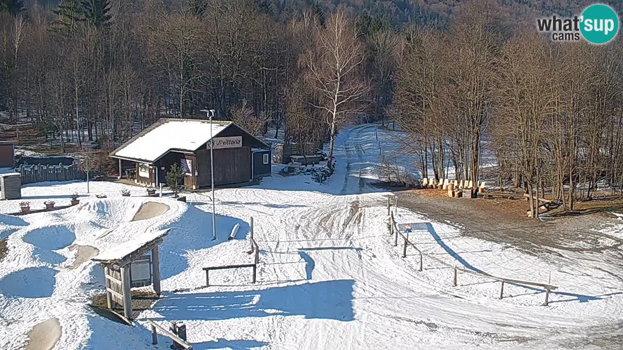 Camera en vivo Kočevje – MTB trail center – Eslovenia