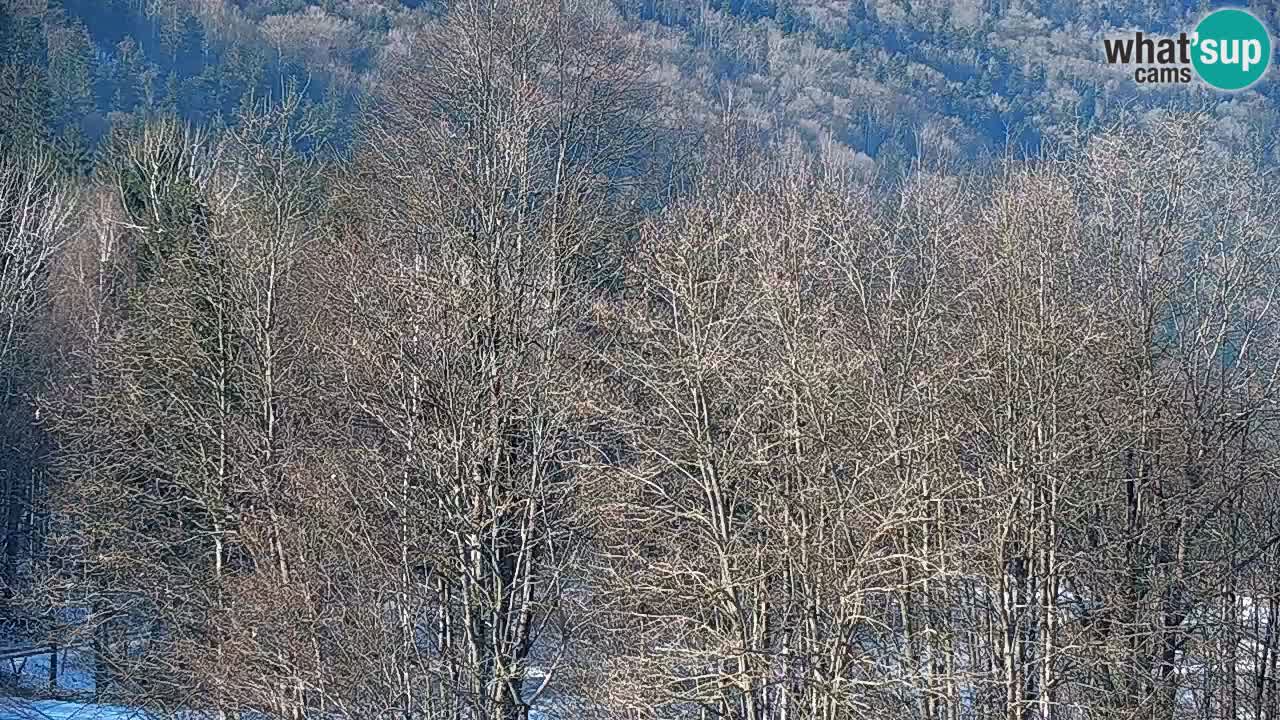 Webcam en direct Kočevje – Centre de trail VTT – Slovénie