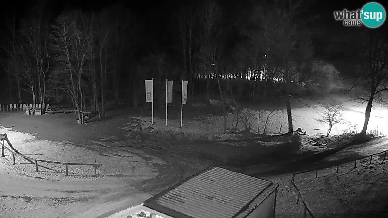 Kočevje Live webcam – MTB trail center – Slowenien