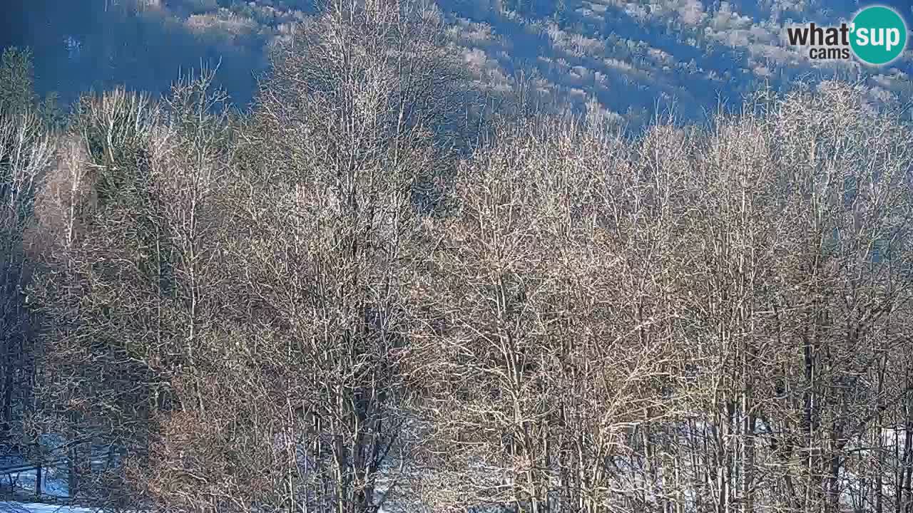 Webcam Kočevje – centro allenamento e svago MTB trail center – Slovenia