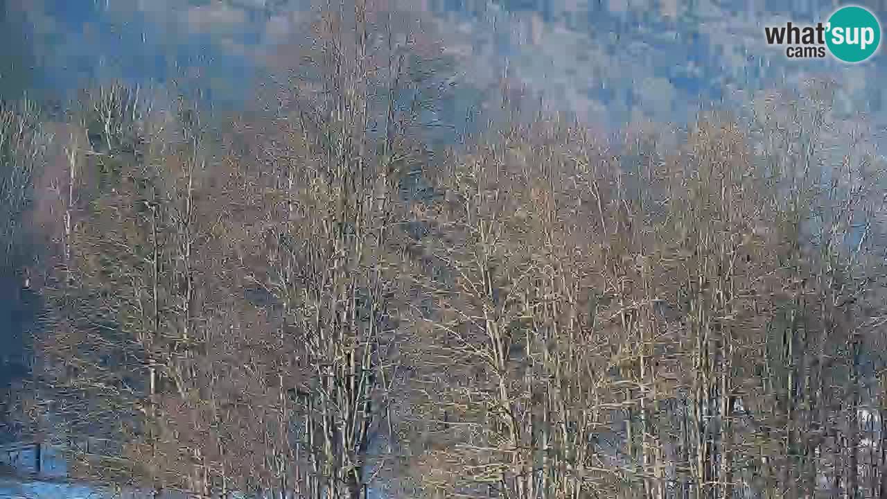 Live webcam Kočevje – MTB trail center – Slovenia