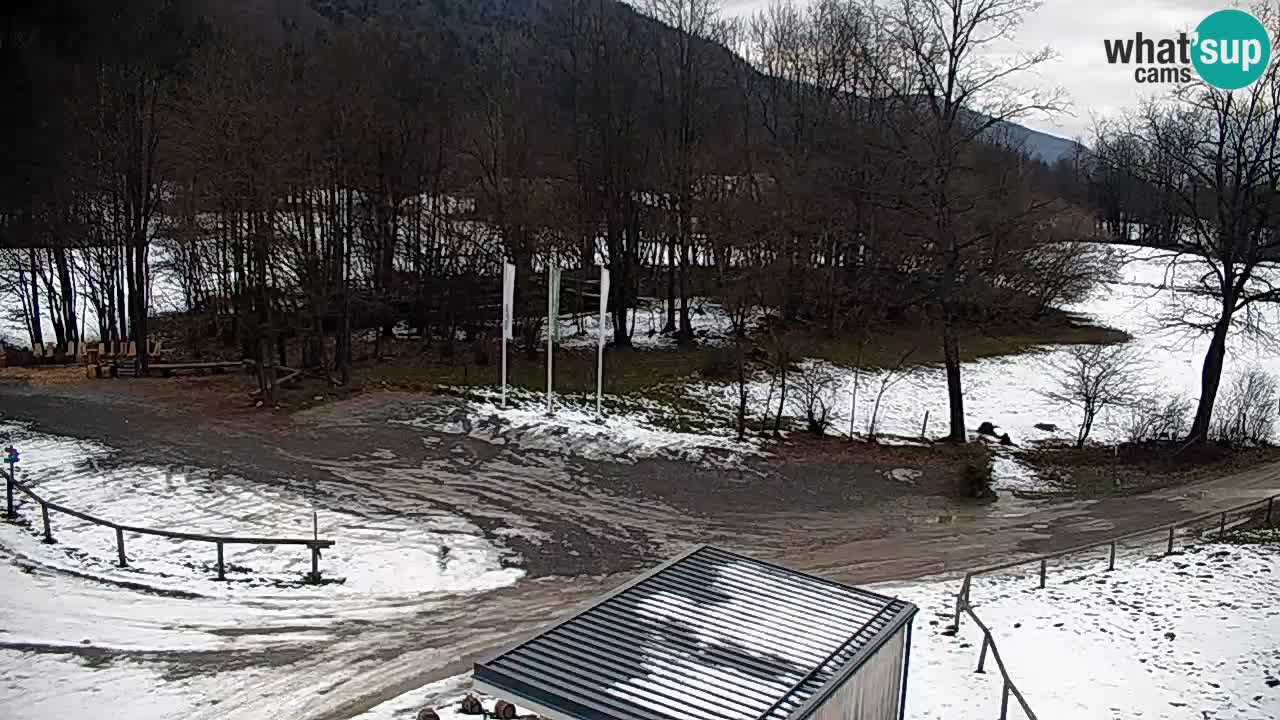 Webcam en direct Kočevje – Centre de trail VTT – Slovénie