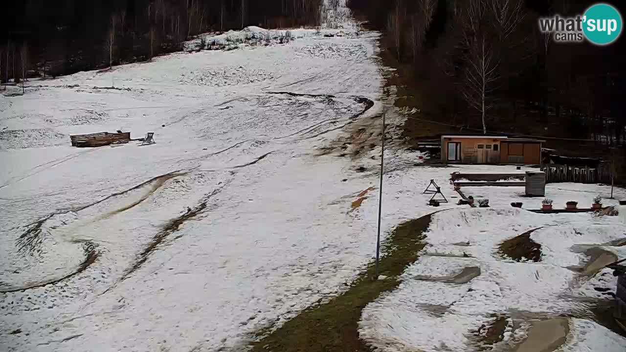 Webcam Kočevje – centro allenamento e svago MTB trail center – Slovenia