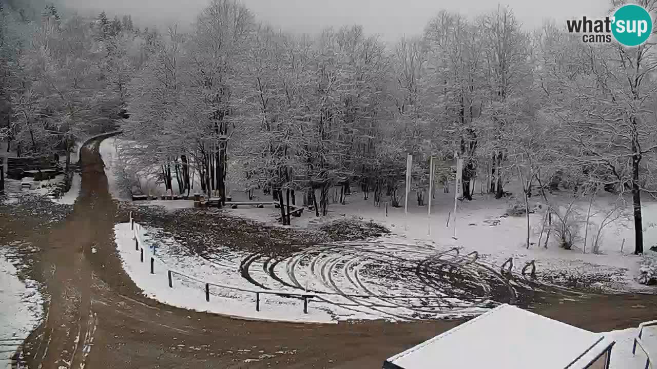 Live webcam Kočevje – MTB trail center – Slovenia