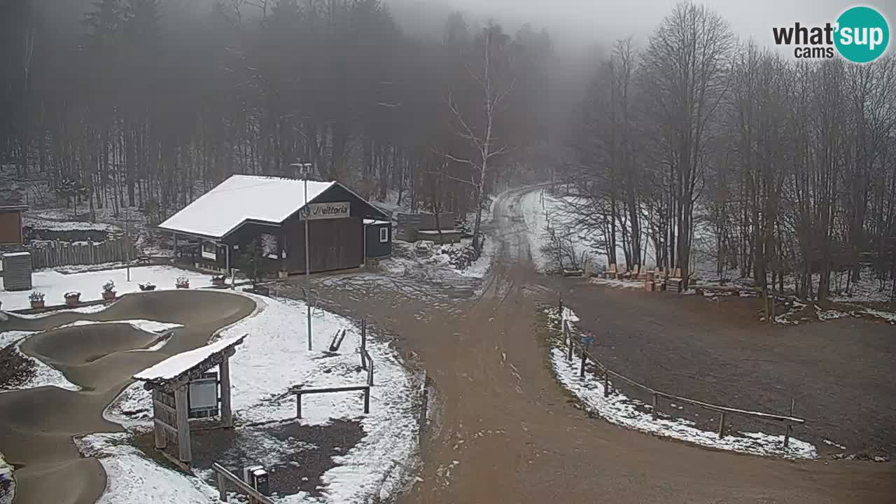 Kočevje Live webcam – MTB trail center – Slowenien