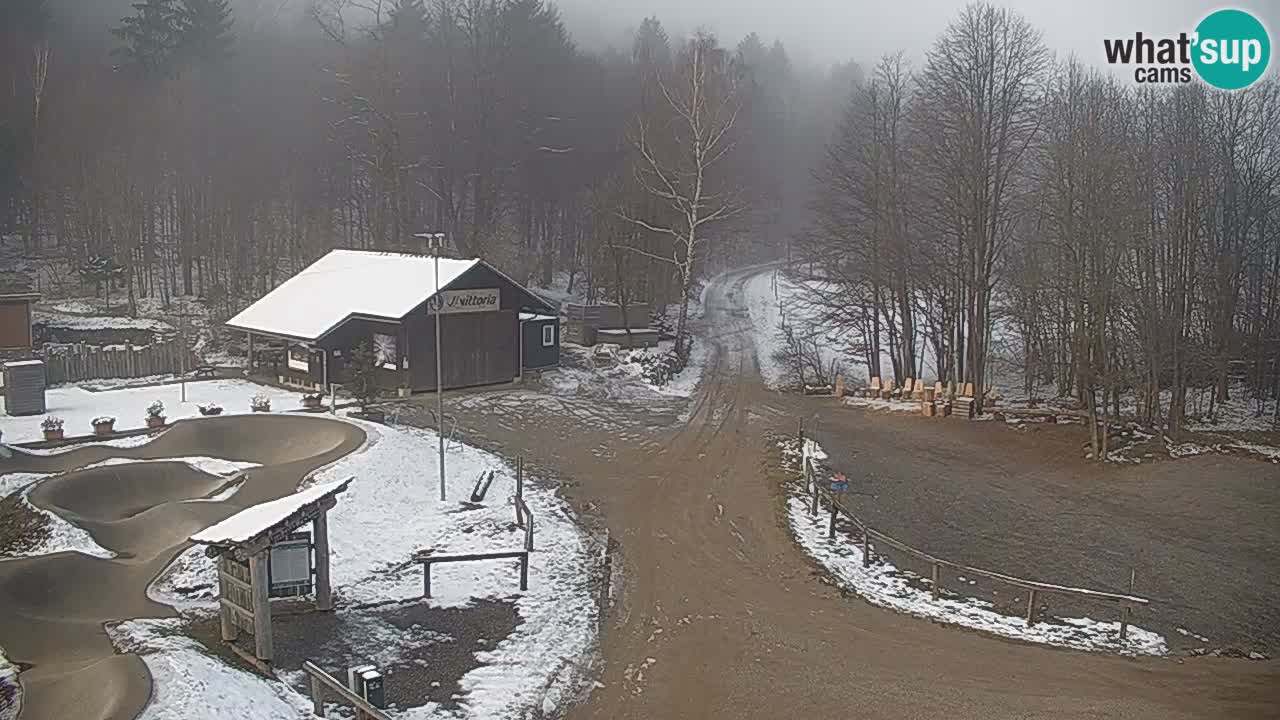 Webcam Kočevje – centro allenamento e svago MTB trail center – Slovenia