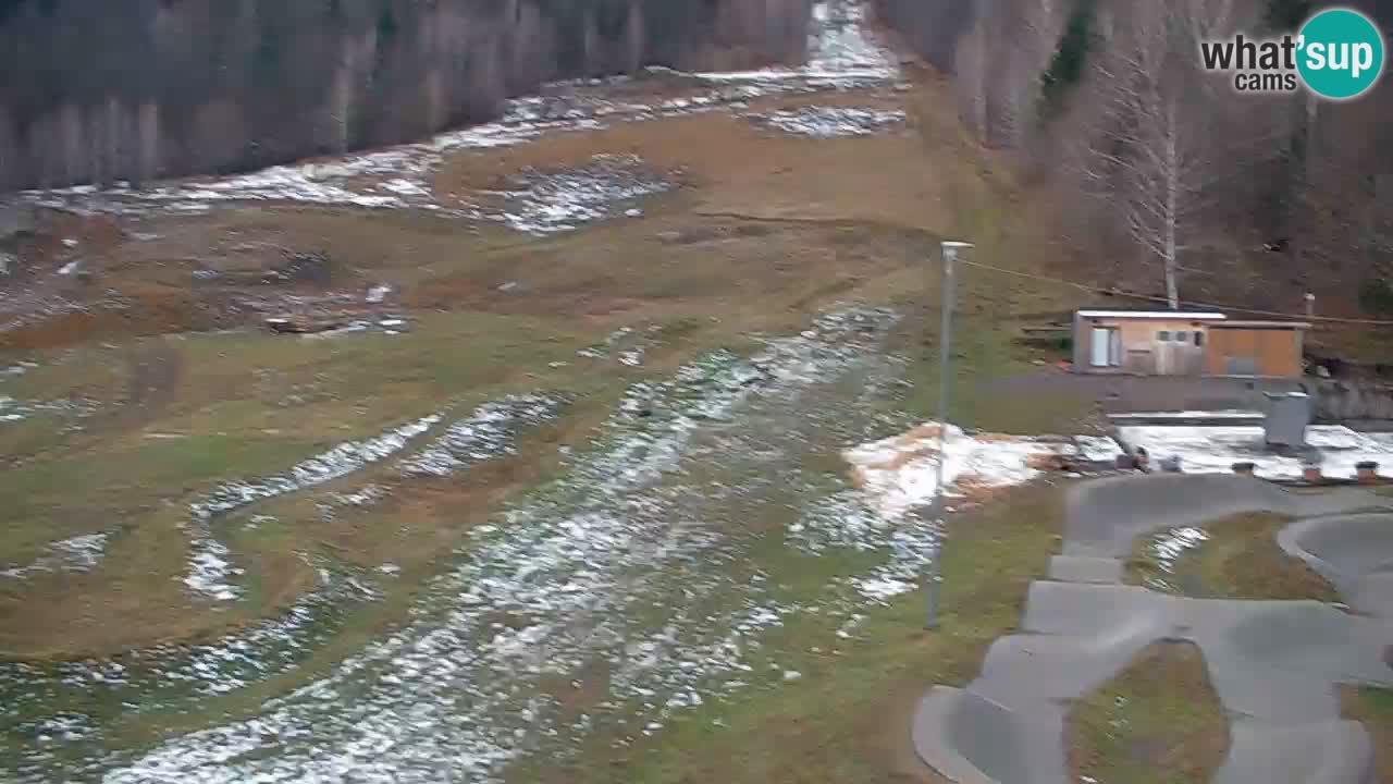 Webcam Kočevje – centro allenamento e svago MTB trail center – Slovenia