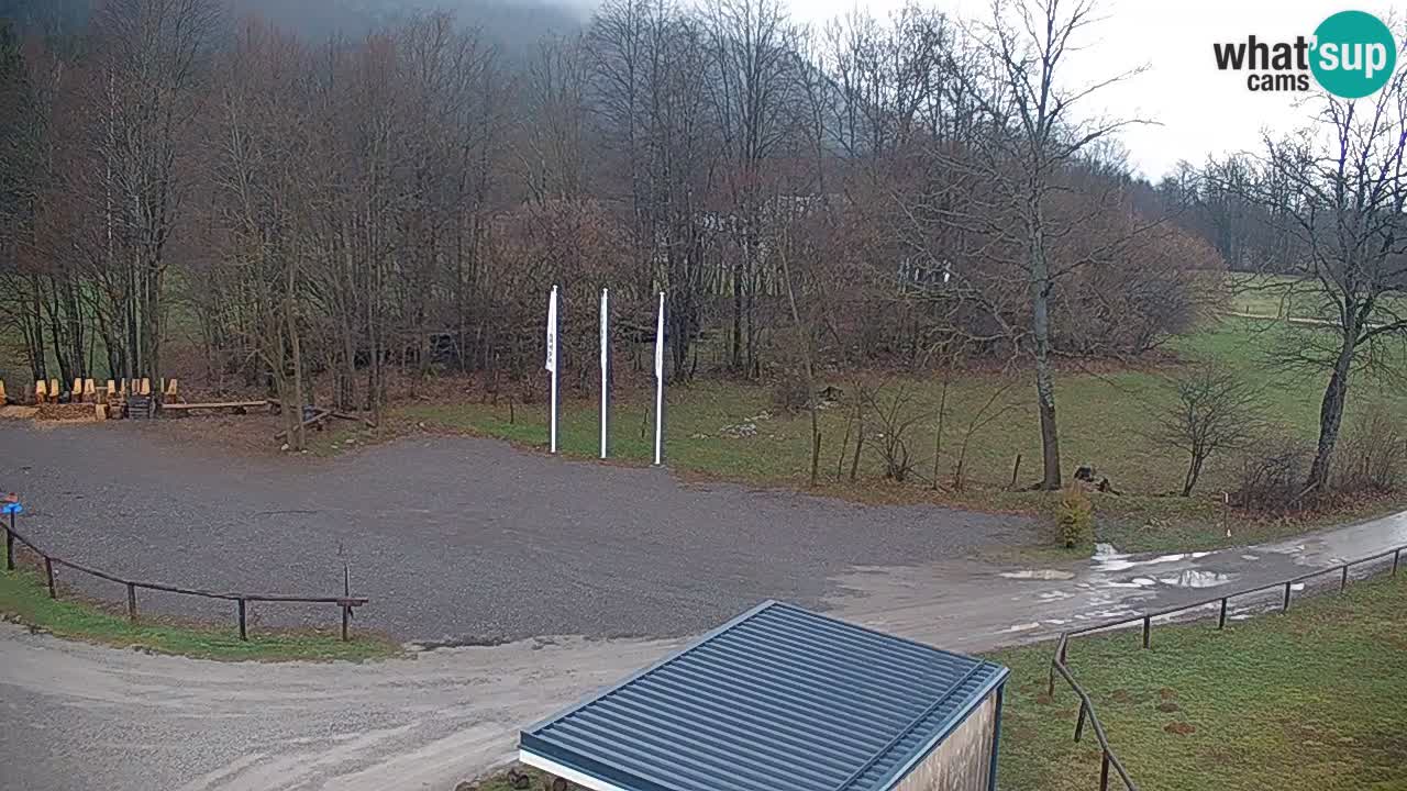 Webcam Kočevje – centro allenamento e svago MTB trail center – Slovenia