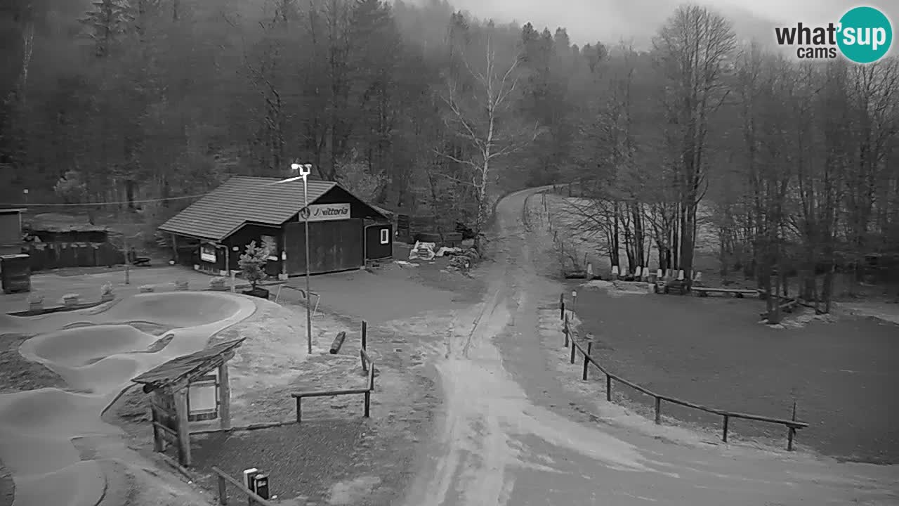 Webcam Kočevje – centro allenamento e svago MTB trail center – Slovenia