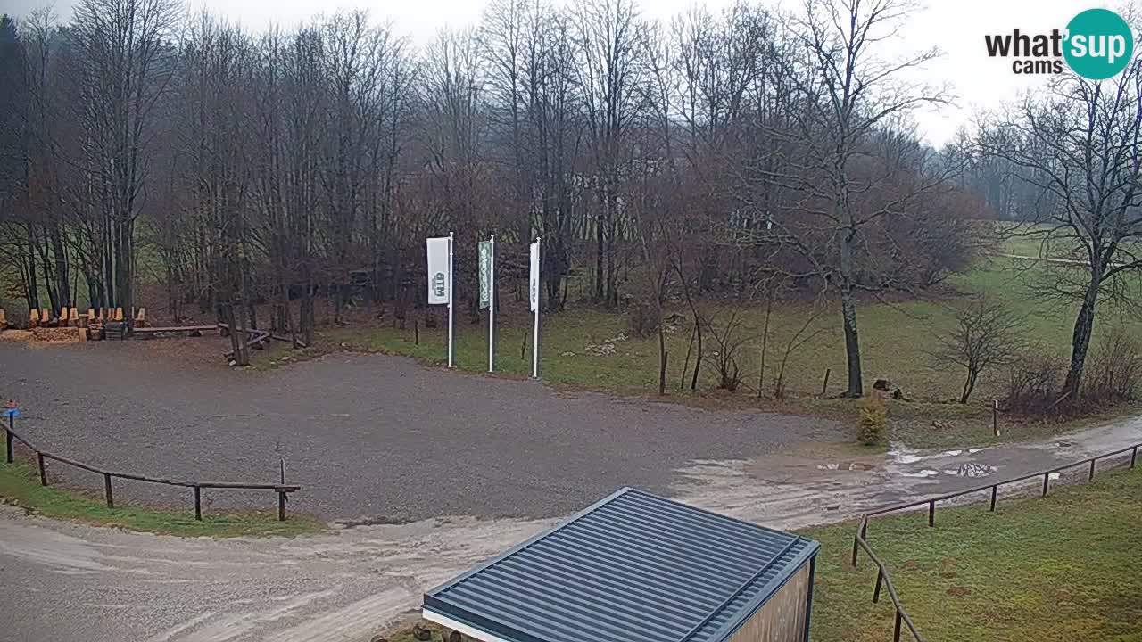 Kočevje Live webcam – MTB trail center – Slowenien