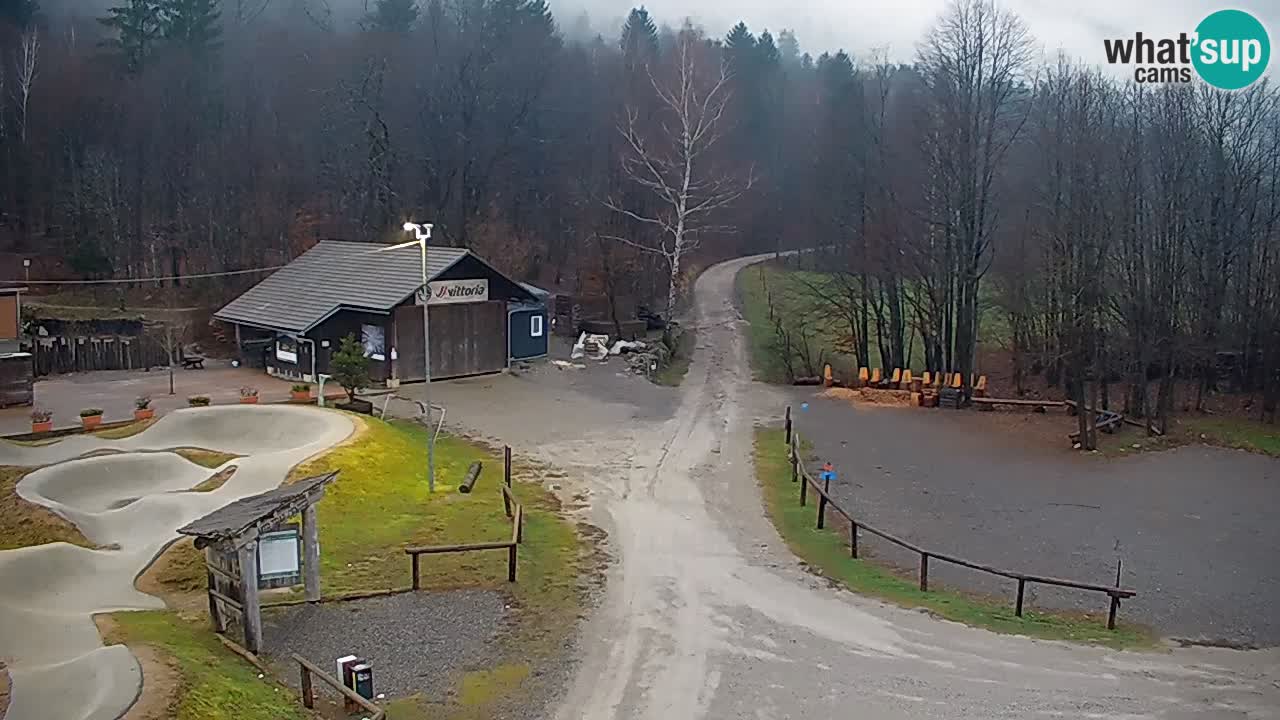 Webcam Kočevje – centro allenamento e svago MTB trail center – Slovenia