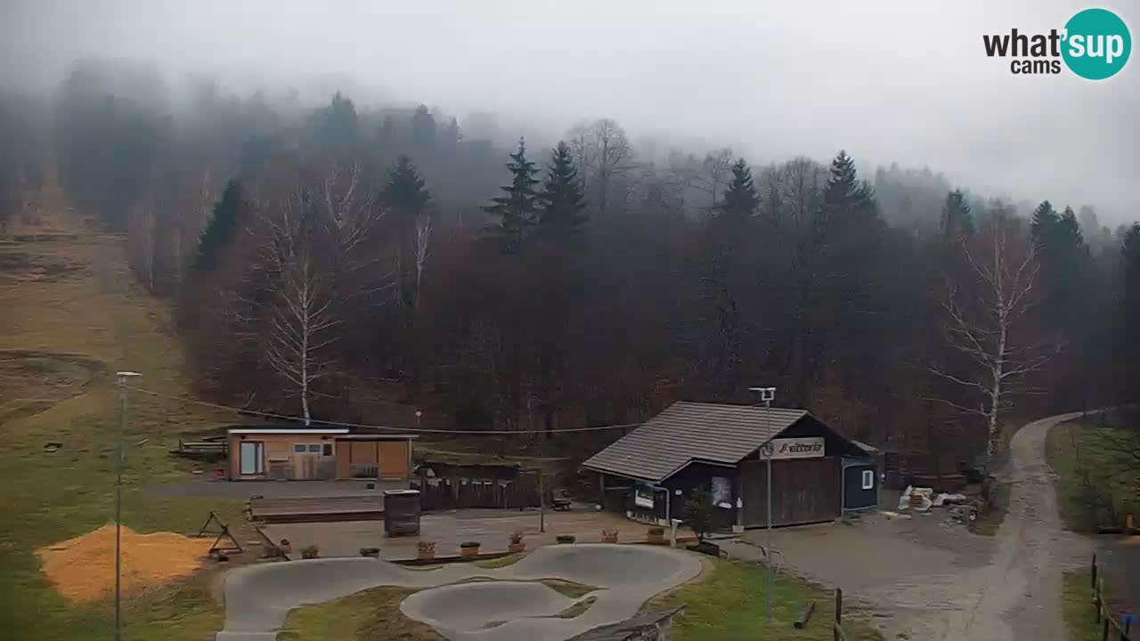 Kočevje Live webcam – MTB trail center – Slowenien