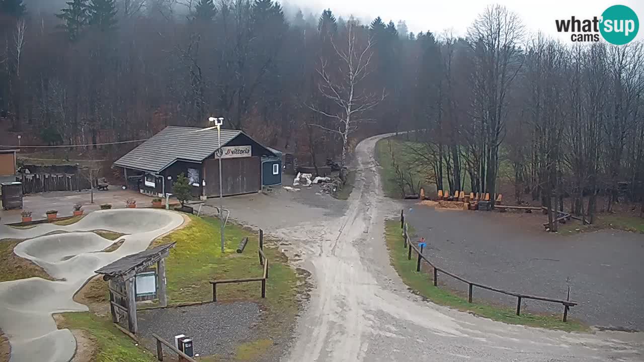 Spletna kamera Kočevje – MTB trail center v živo