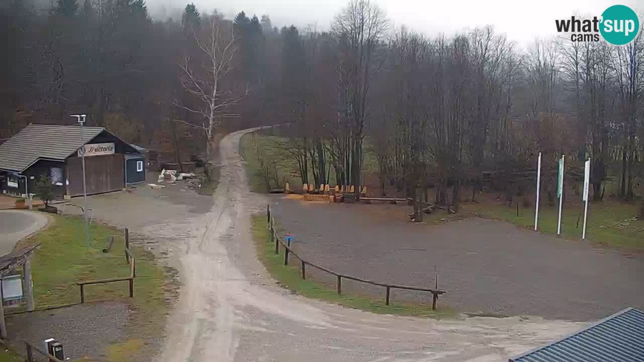 Kočevje Live webcam – MTB trail center – Slowenien