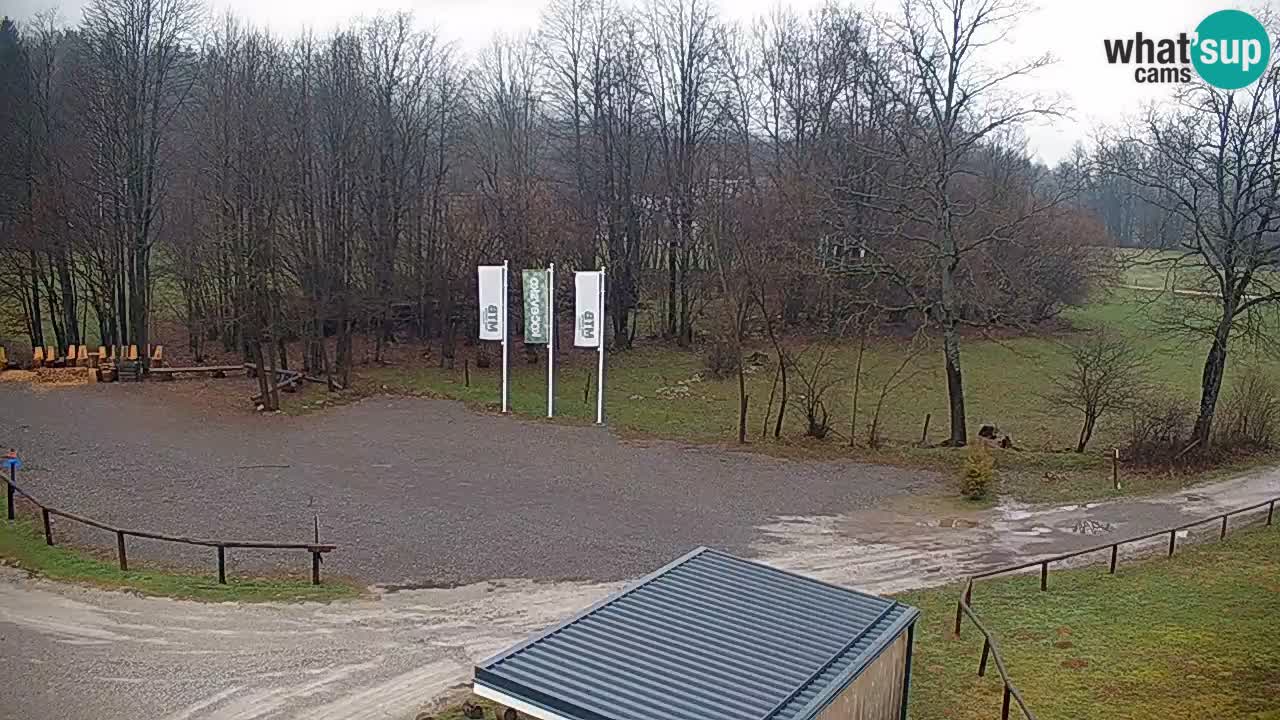 Kočevje Live webcam – MTB trail center – Slowenien