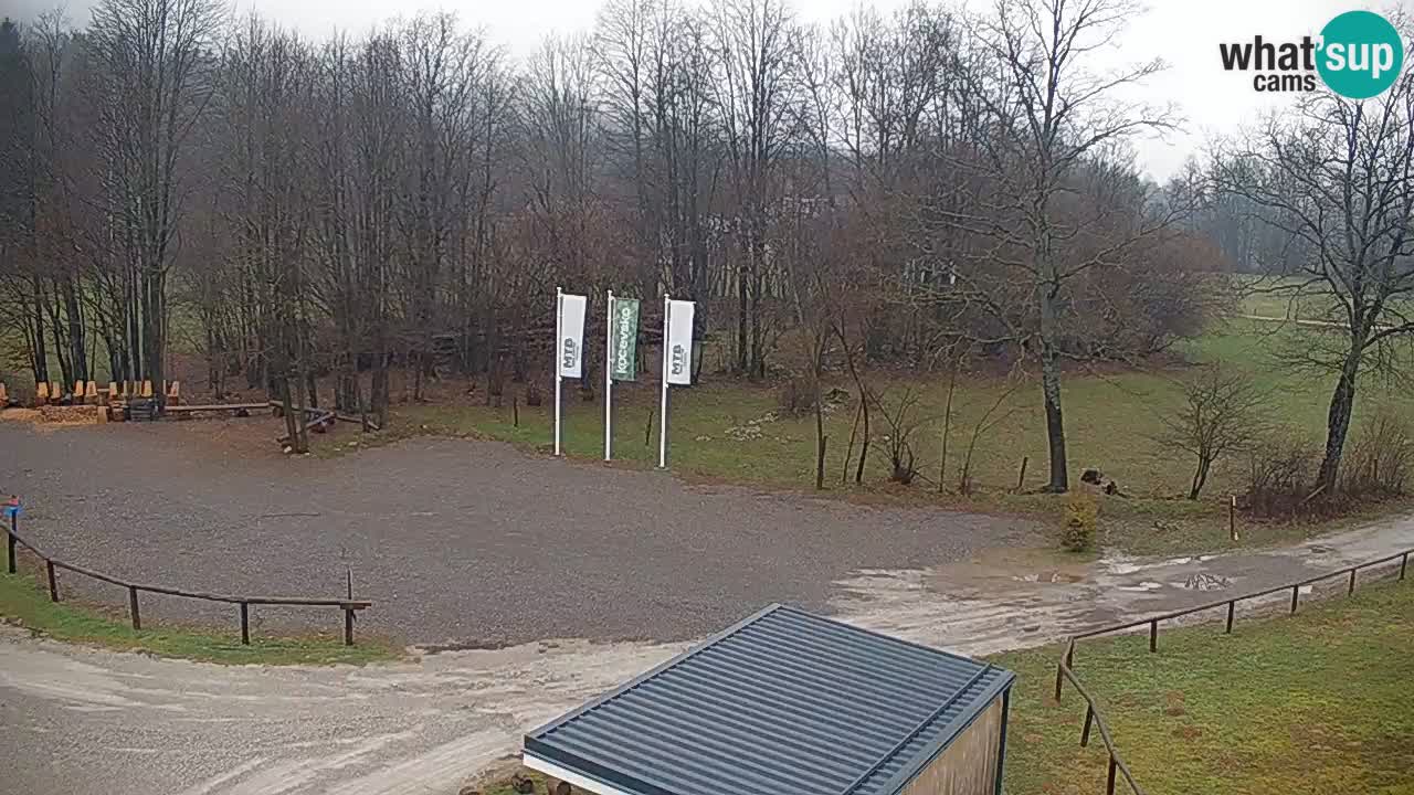 Web kamera Kočevje – MTB trail center – Slovenija