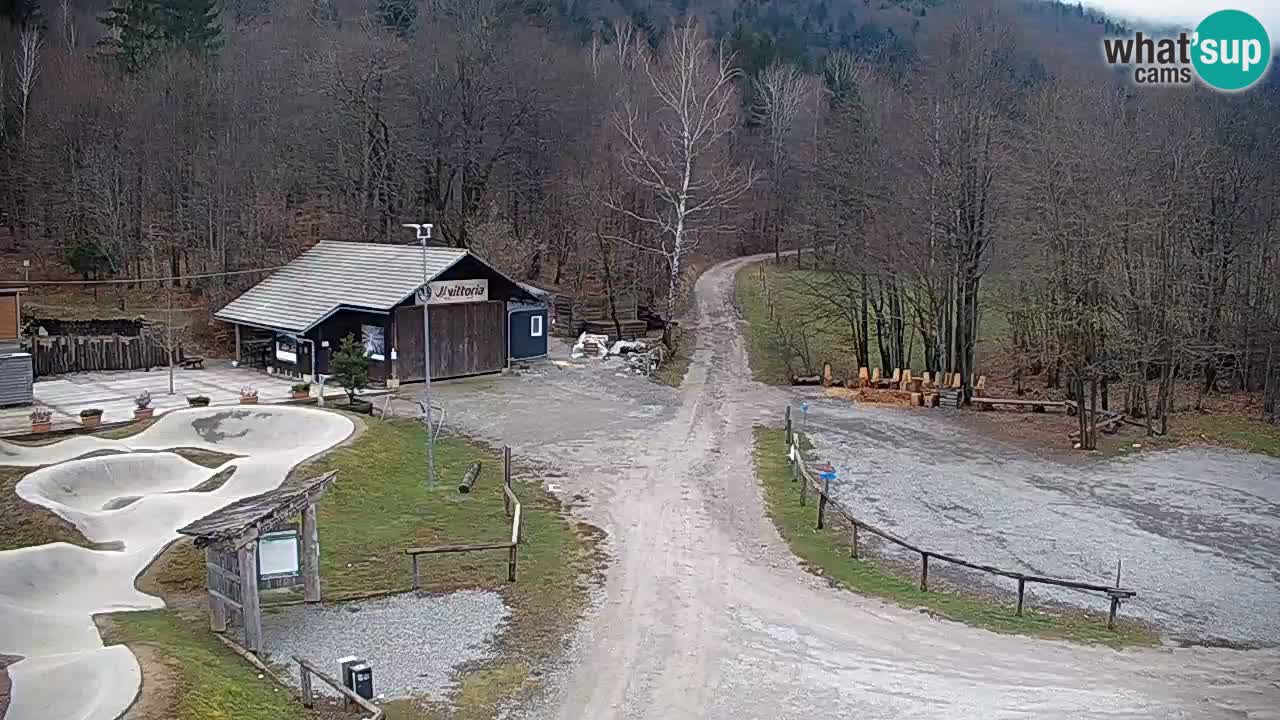 Spletna kamera Kočevje – MTB trail center v živo