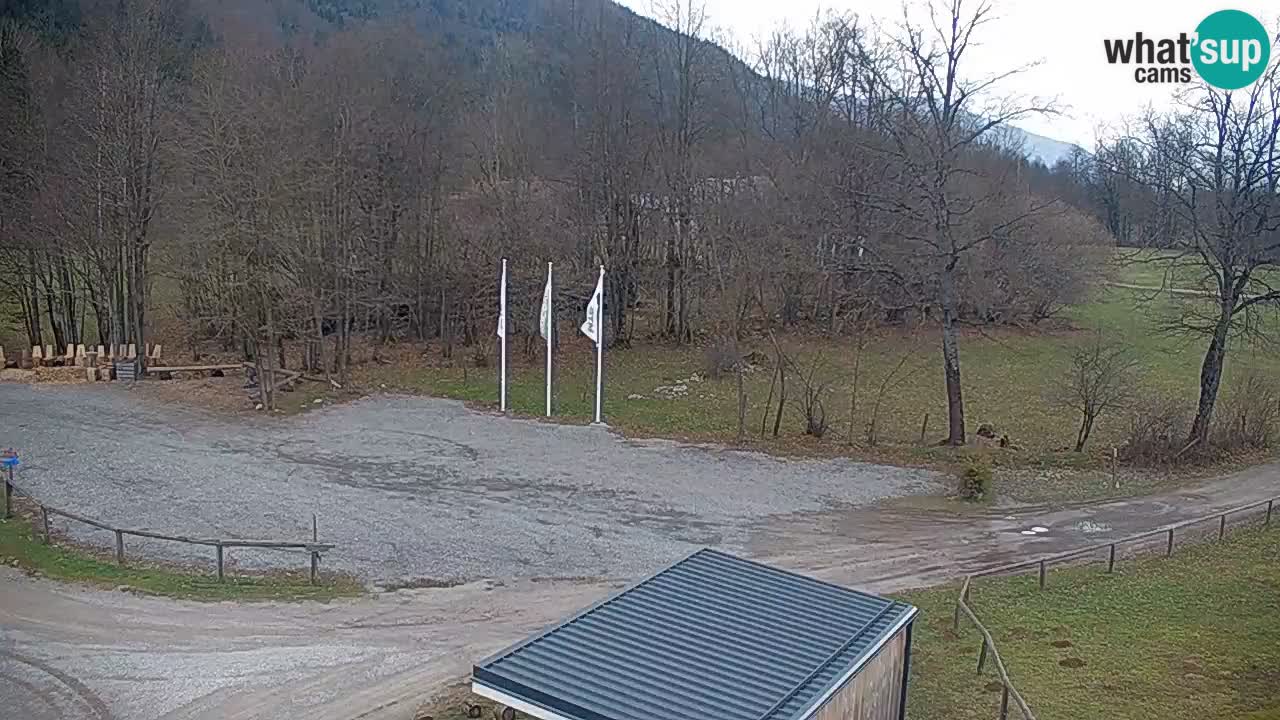 Kočevje Live webcam – MTB trail center – Slowenien