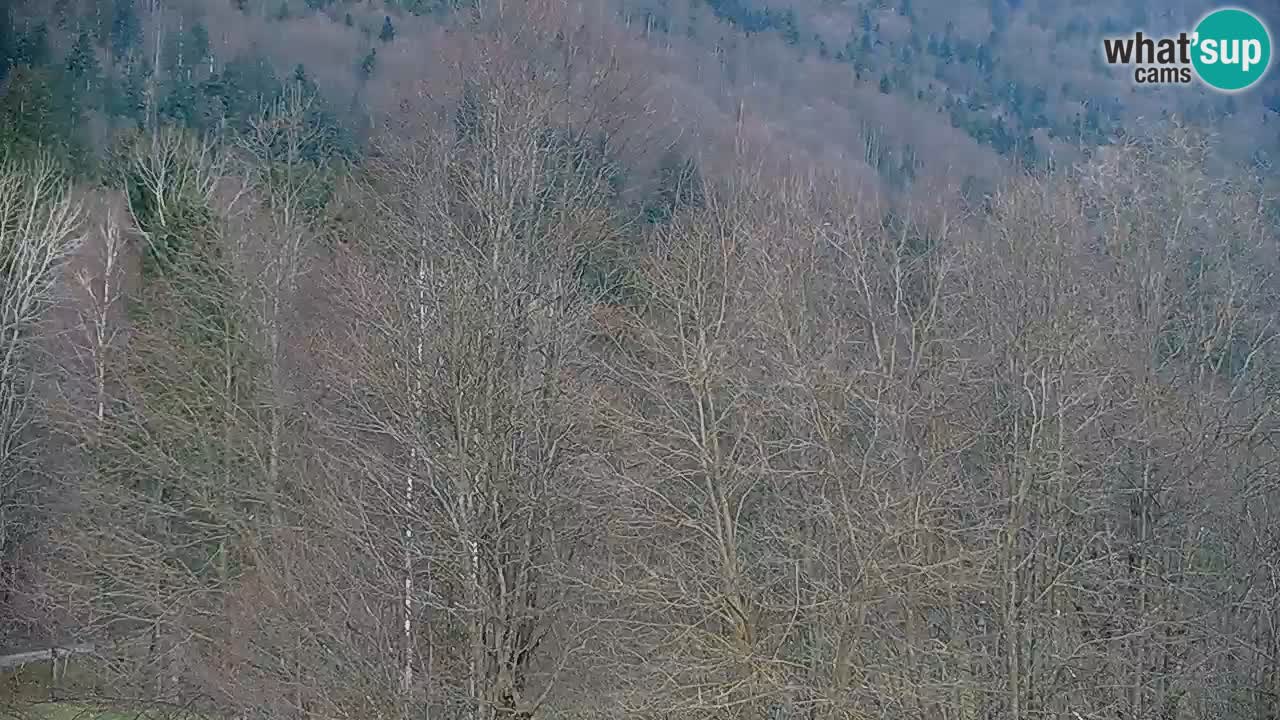 Webcam en direct Kočevje – Centre de trail VTT – Slovénie