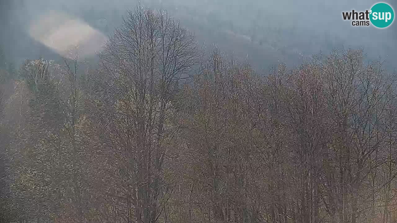 Web kamera Kočevje – MTB trail center – Slovenija